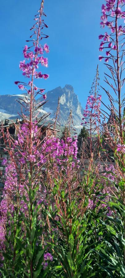 Maison Meynet Mountain Charm Breuil-Cervinia Exterior foto